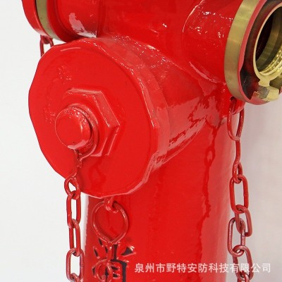 消防栓厂家室外地上式消防栓SS100/65-1.6消火栓消防器材现货直供图2