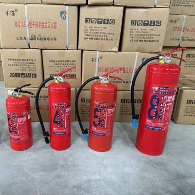 生产厂家3kg8kg 4kg手提干粉灭火器 水基 泡沫 二氧化碳灭火器图3
