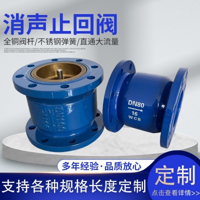 钢体消声止回阀法兰立式消防单向逆止阀球墨铸铁铸钢法兰 止回阀图2