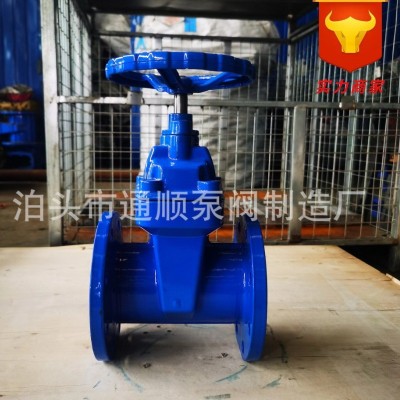 铸铁软密封闸阀 弹性座封闸阀 暗杆阀门开关闸阀 法兰软密封闸阀图3