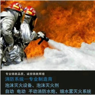 泡沫灭火设备 压力式泡沫比例混合装置 PHY系列图3