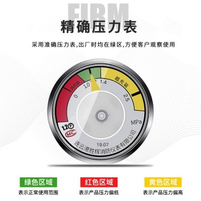 手提式车载干粉灭火器维修 检修 年检 志合消防设备图4