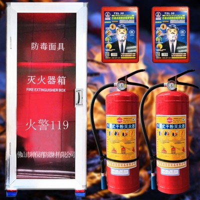 新国标干粉灭火器面具箱子组合消防箱2kg4kg套装家用酒店消防器材图3