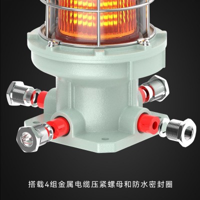 台创BSZD81防爆航空障碍灯机场铁塔高楼桥柱船用红色航标灯AC220V图3