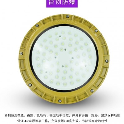 台创TCD210C系列圆型工矿灯led防爆泛光灯化工厂区强光照明吊顶灯图2