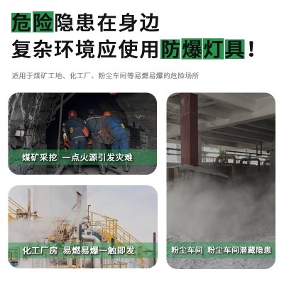防爆消防应急标志灯化工厂油站车间仓库压铸铝防爆安全出口指示灯图2