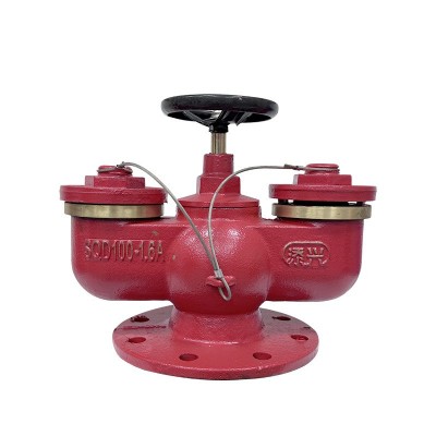 现货地上多用式新型多功能水泵接合器SQD100-1.6消防器材厂家直销
