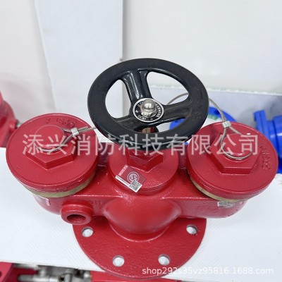 现货地上多用式新型多功能水泵接合器SQD100-1.6消防器材厂家直销图2