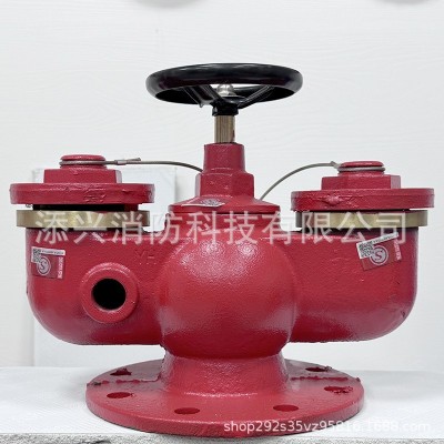 现货地上多用式新型多功能水泵接合器SQD100-1.6消防器材厂家直销图4