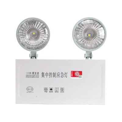 集中控制集中供电型应急照明灯 A型消防应急灯36V安全出口双头灯图4