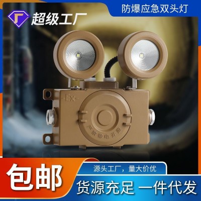 防爆应急灯消防应急灯LED双头应急灯IP65防爆防水楼梯通道安全出