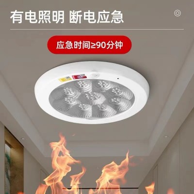 消防应急照明吸顶灯感应灯楼道家用商场声光控停电照明灯图2