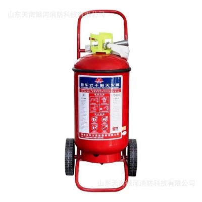 东消灭火器干粉二氧水基手提式家用商用四公斤商店车店用图5