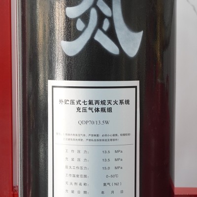 厂家直销消防自动灭火系统七氟丙烷管网式气体灭火装置外贮压装置图2