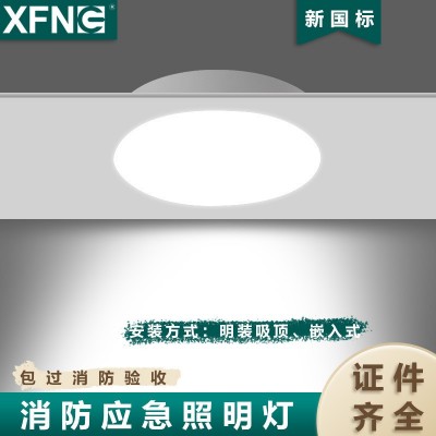 集中电源 集中控制型嵌顶消防应急照明灯 消防联动控制嵌顶图2