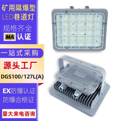 煤矿井下防爆投光灯100W200W矿用隔爆型LED巷道灯DGS100/127L(A)