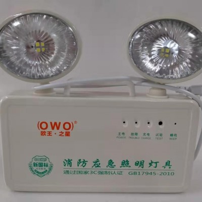 供应多功能消防应急灯 消防应急灯 安全出口消防应急灯图5