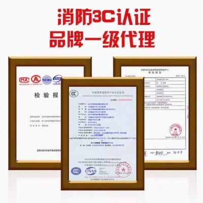 淮海手提式干粉灭火器4公斤店用商铺车载家用工厂消防器材图2