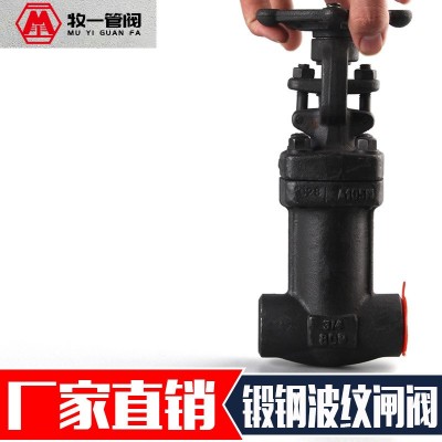 锻钢A105N波纹管闸阀 截止阀WZ/WJ61/11H-800LB承插焊内螺纹对焊