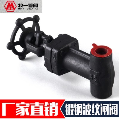 锻钢A105N波纹管闸阀 截止阀WZ/WJ61/11H-800LB承插焊内螺纹对焊图3