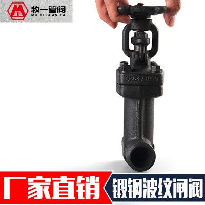 锻钢A105N波纹管闸阀 截止阀WZ/WJ61/11H-800LB承插焊内螺纹对焊图4