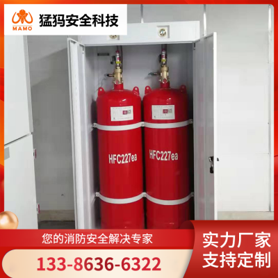 双柜式七氟丙烷 图书馆消防用 自动化程度高 源头厂家 猛犸