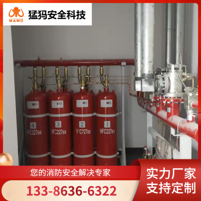 双柜式七氟丙烷 图书馆消防用 自动化程度高 源头厂家 猛犸图2