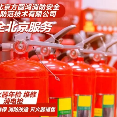 大量现货气体灭火器 精致选材五星服务 家用车用通用灭火装置图3