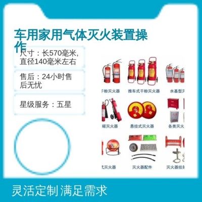 大量现货气体灭火器 精致选材五星服务 家用车用通用灭火装置