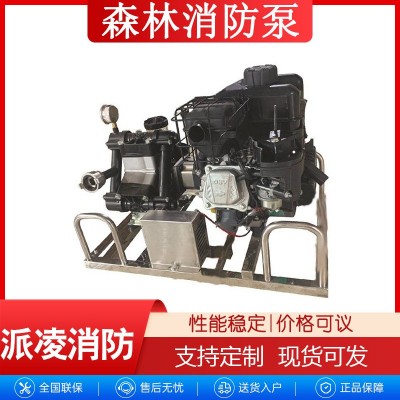 便携式远程输送泵消防泵 便携式远程输送高压消防泵火场隔膜泵