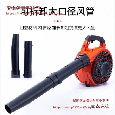 EB-260汽油吹风机除尘器吹雪机风力灭火器建筑二冲程手持鼓麦太保图2