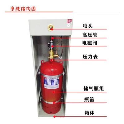 生产厂家大空间使用柜式七氟丙烷气体灭火装置图4