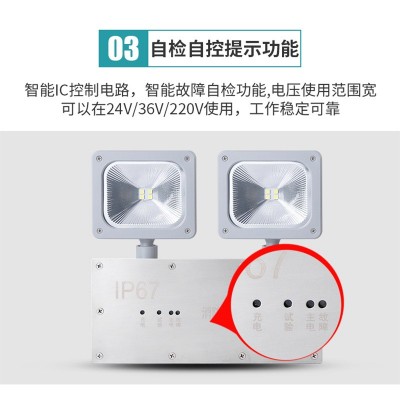 IP67防水应急照明灯led不锈钢面板双头灯隧道冷库双头照明应急灯图4