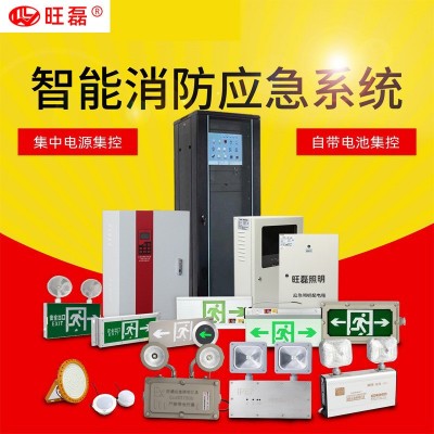 A型智能消防应急灯应急照明控制器安全出口指示应急灯集中控制系