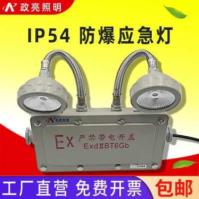 防爆24v安全出口应急灯双头灯消防指示标志老式垂挂式防爆照明灯图2