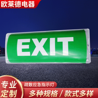 跨境英文应急疏散指示灯商场走廊过道应急指示灯办公楼疏散指示灯图3