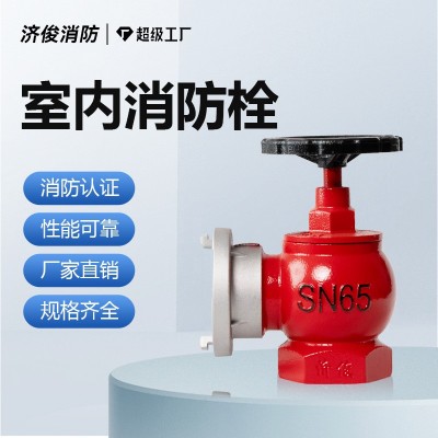 厂家批发室内消火栓snzw65型消防栓济俊单栓头旋转减压 稳压消防栓